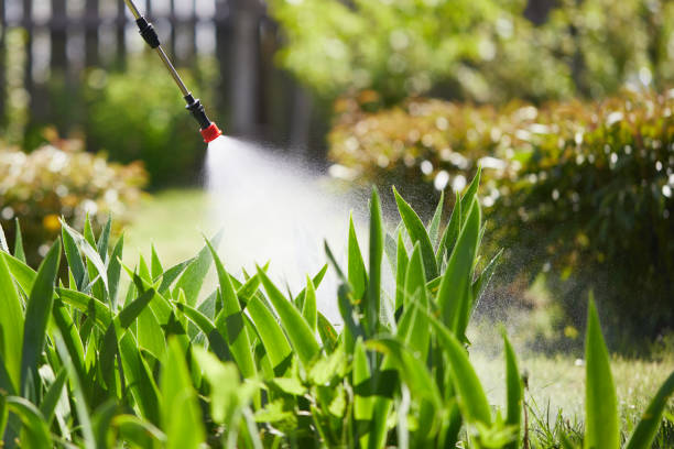 Tamper-Resistant Bait Stations for Rodents in McDonough