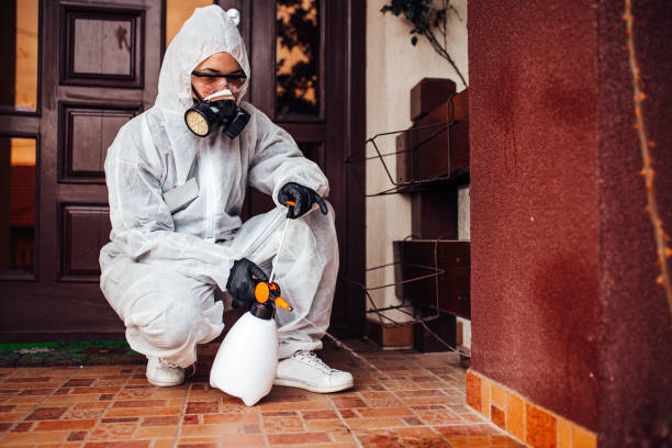Attic and Crawl Space Rodent Treatment in McDonough