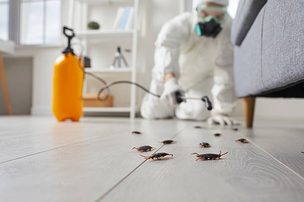 Commercial Rodent Management in McDonough